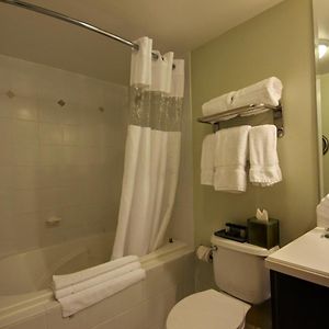 Deluxe One-Bedroom Apartment